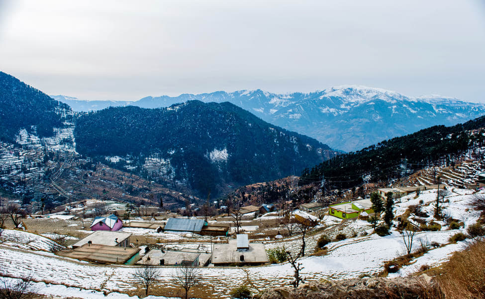 Patnitop