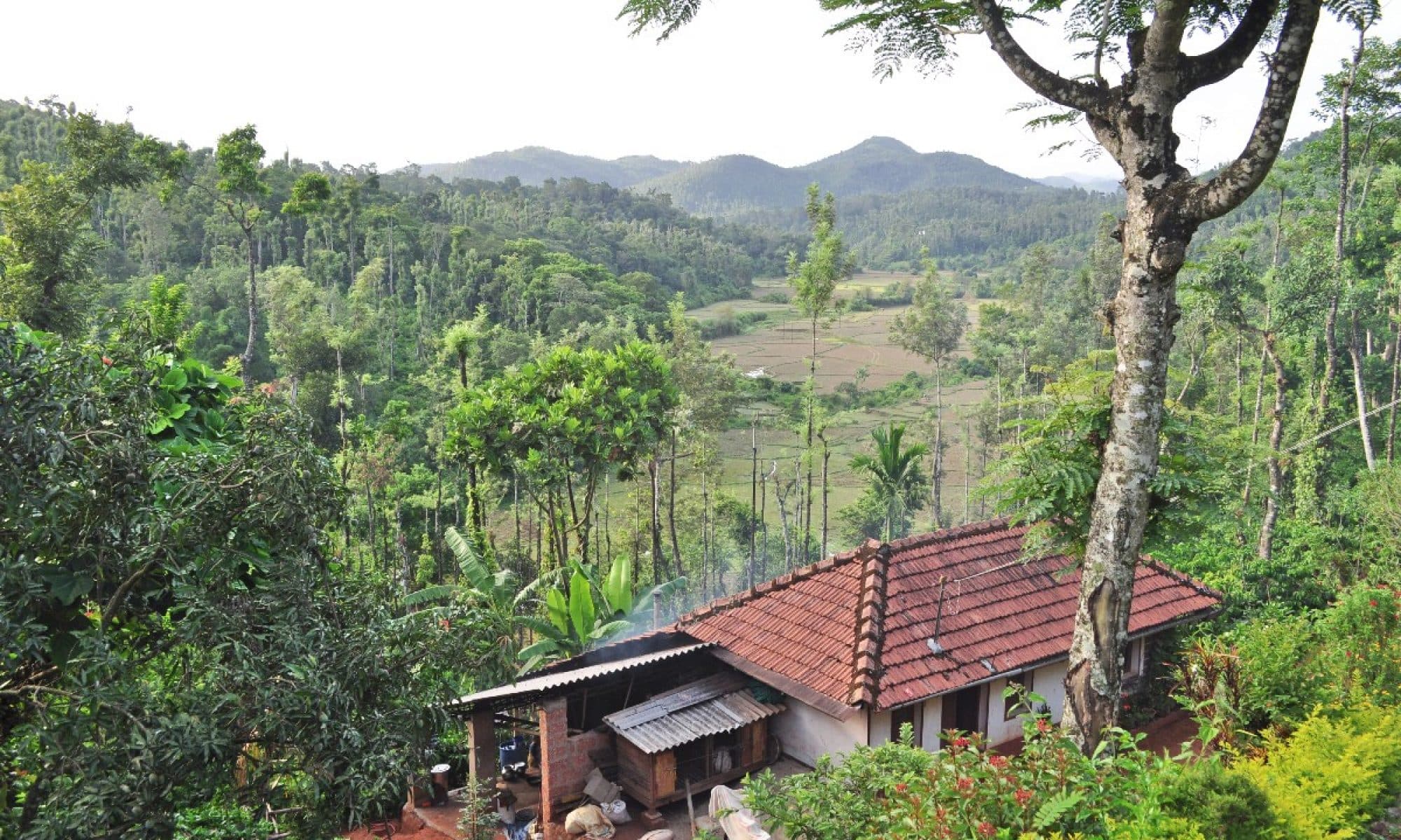 10 Homestays in Mandalpatti, Book Now & Get Upto 50% Off