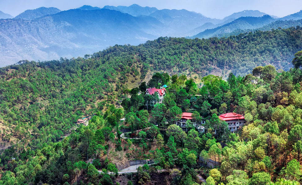 7 Pines Resort, Kasauli | Book Online @ Flat 57% off