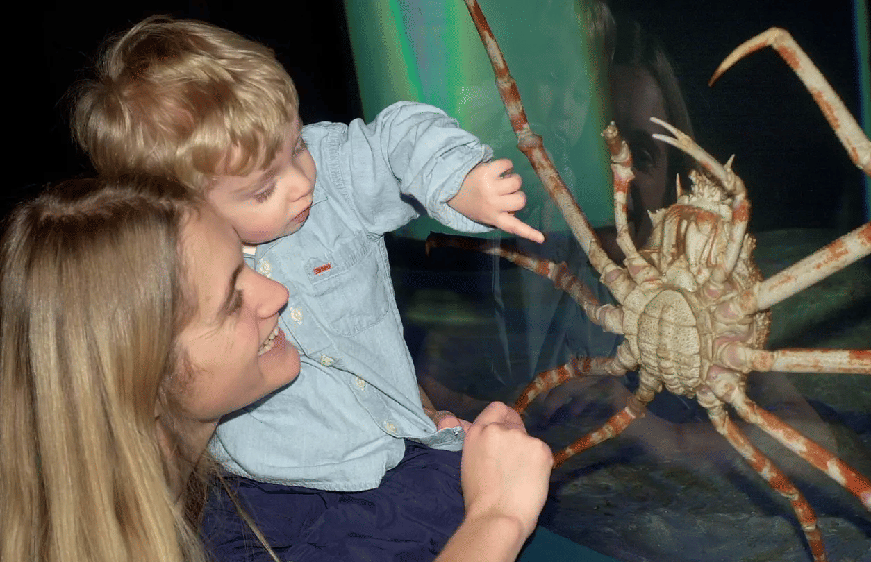 Sea Life Aquarium Manchester Ticket, Book Now @ Flat 20% off