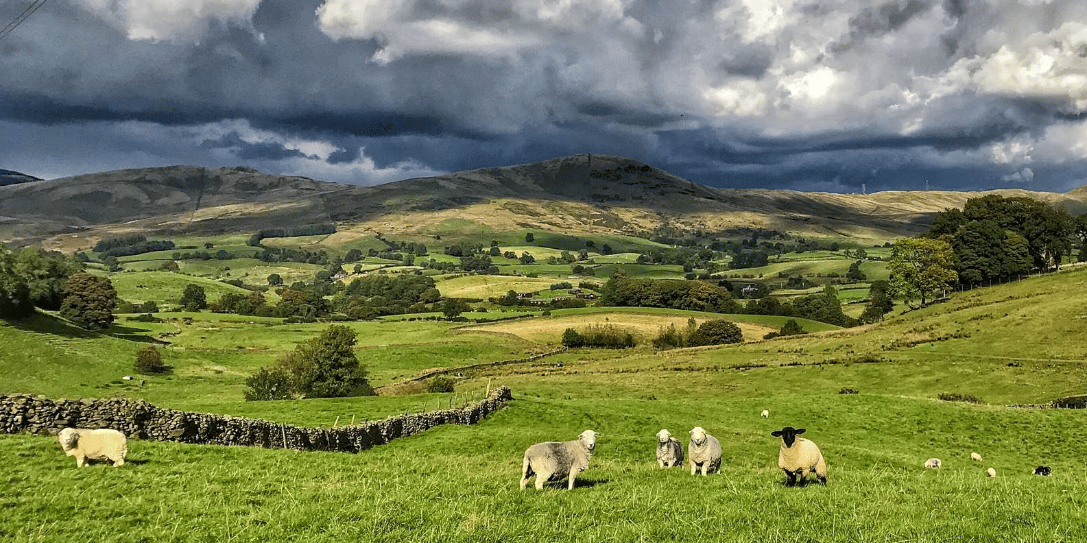 Lake District Tour from Manchester