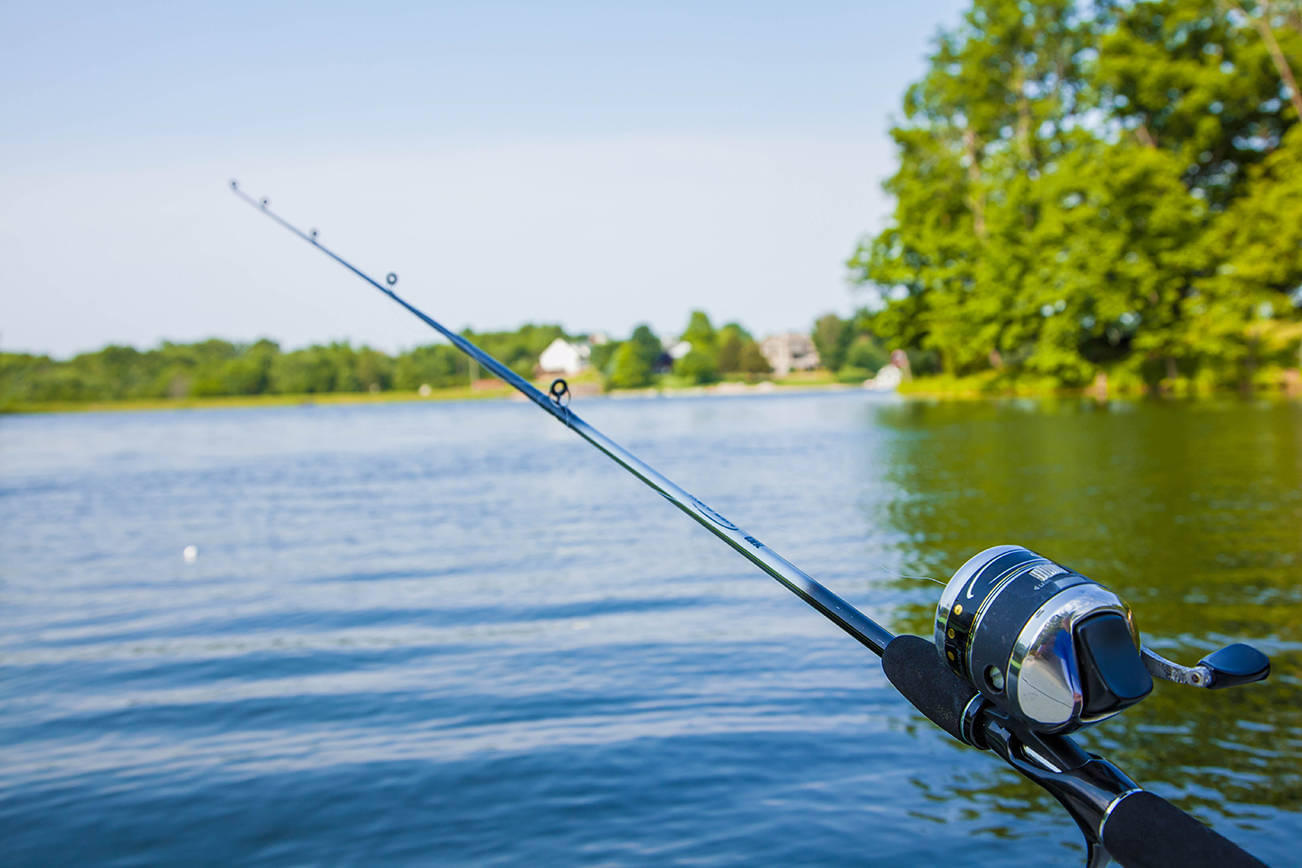 Fishing Rod & Reel Combo at best price in Hyderabad by Hunting
