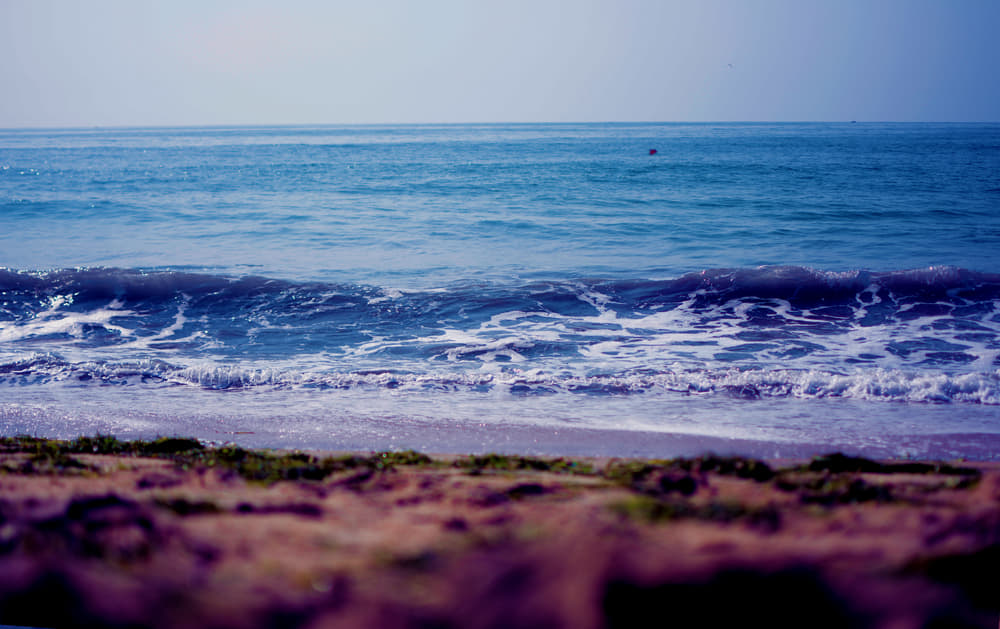 1589376733 shutterstock 747788266