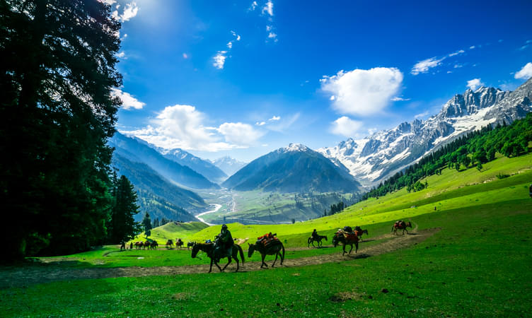  Places to Visit in Kashmir, Tourist Places & Top Attractions