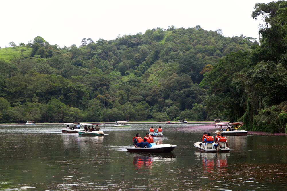 Wayanad Tour Package from Chennai 2022 | Flat 17% off