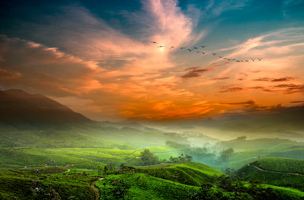 Bangalore to Munnar Package 2022 | Flat 15% off