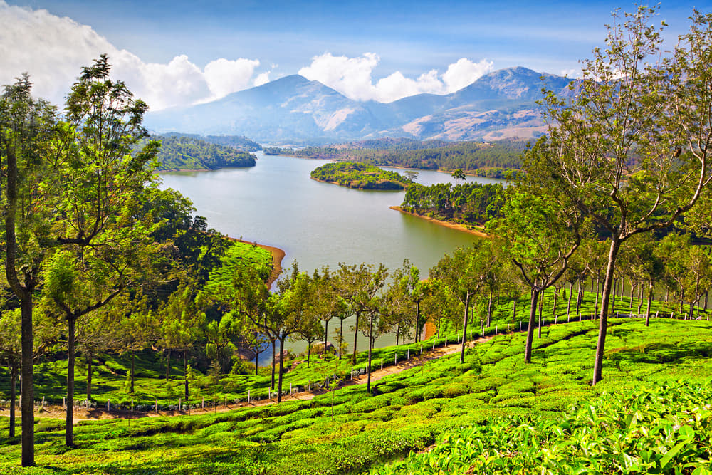 Munnar Tour Package from Cochin 2022 | Flat 20% off