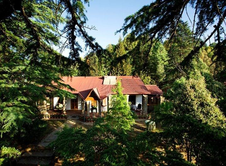Vintage Forest Estate Stay in Binsar | Staycation