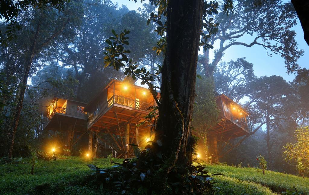 Nature Zone Resort, Munnar | Book Now @ Flat 50% off