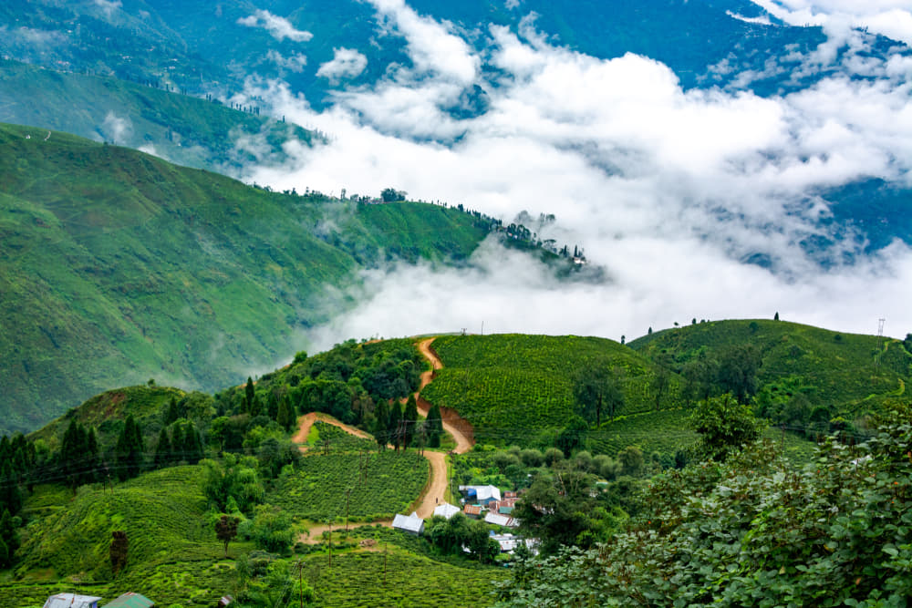 Delhi to Darjeeling Train Package 2023 | Flat 16% off