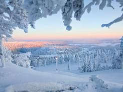 Rovaniemi Tour Package | Finland Winter Wonders