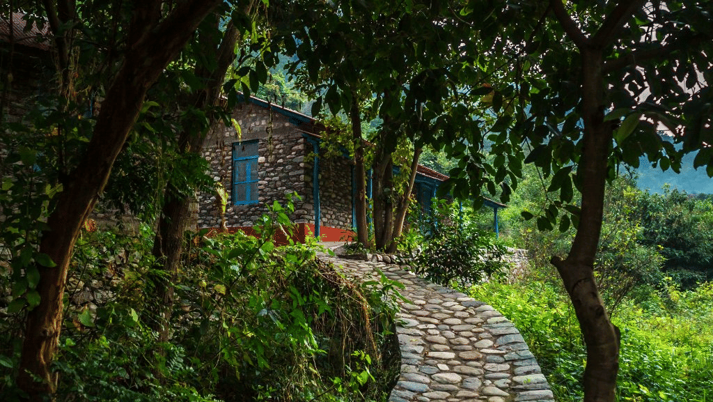 Cottage Stay Amid Lush Green Forest at Jim Corbett