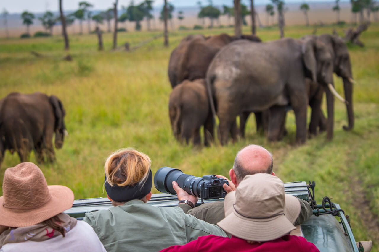 Kenya Wildlife Safari Tour Package: Vacation into the Wild