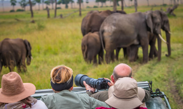Kenya Wildlife Safari Tour Package: Vacation into the Wild