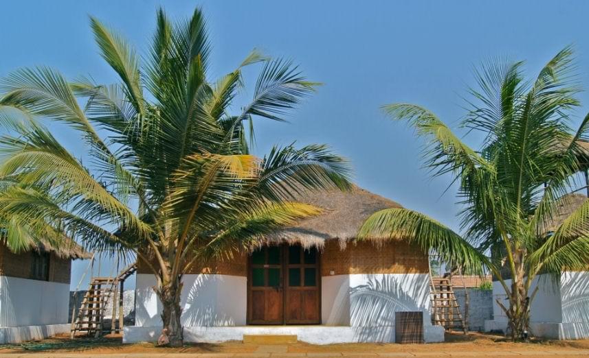 Pam's Pirache Resort Goa Stay