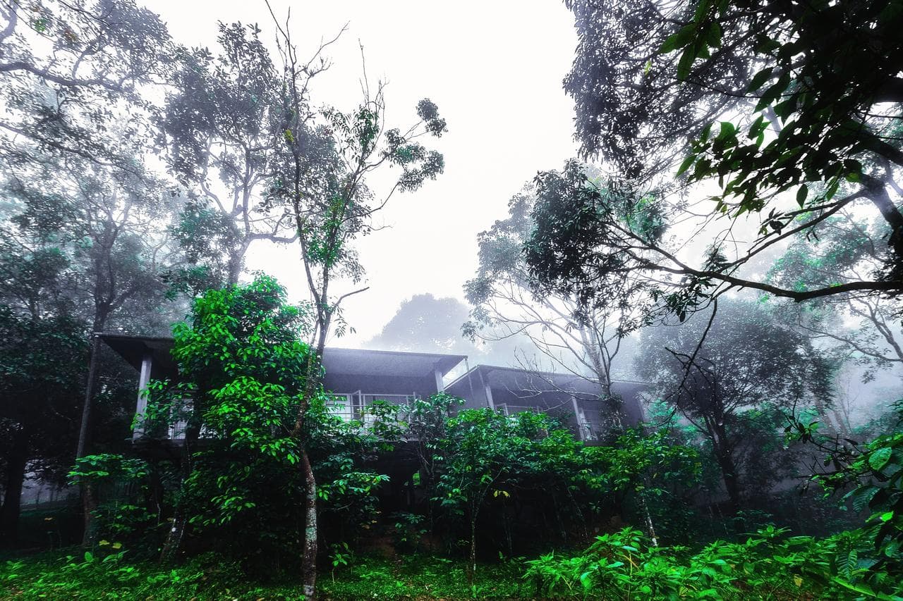 Wayanad Wild - Cgh Earth Resort | Book @ Flat 30% off