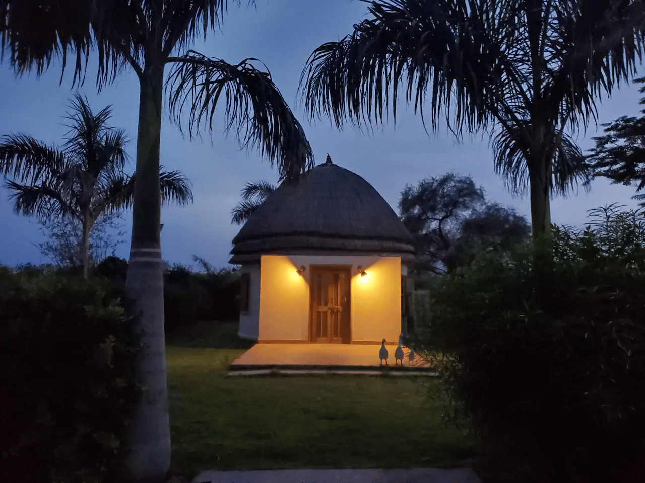 Thatch Grass Cottage Stay Amid Farms in Jodhpur