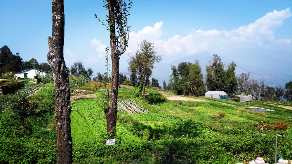 Visit the Sleepy Village - Gwaldam