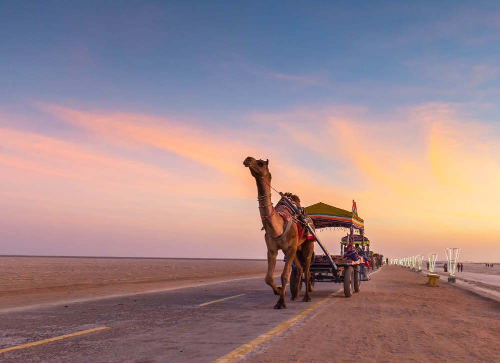Rann of Kutch Tour Package 2023 | Flat 20% off