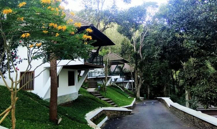 megamalai tourist places list with images Forest Canopy Resort