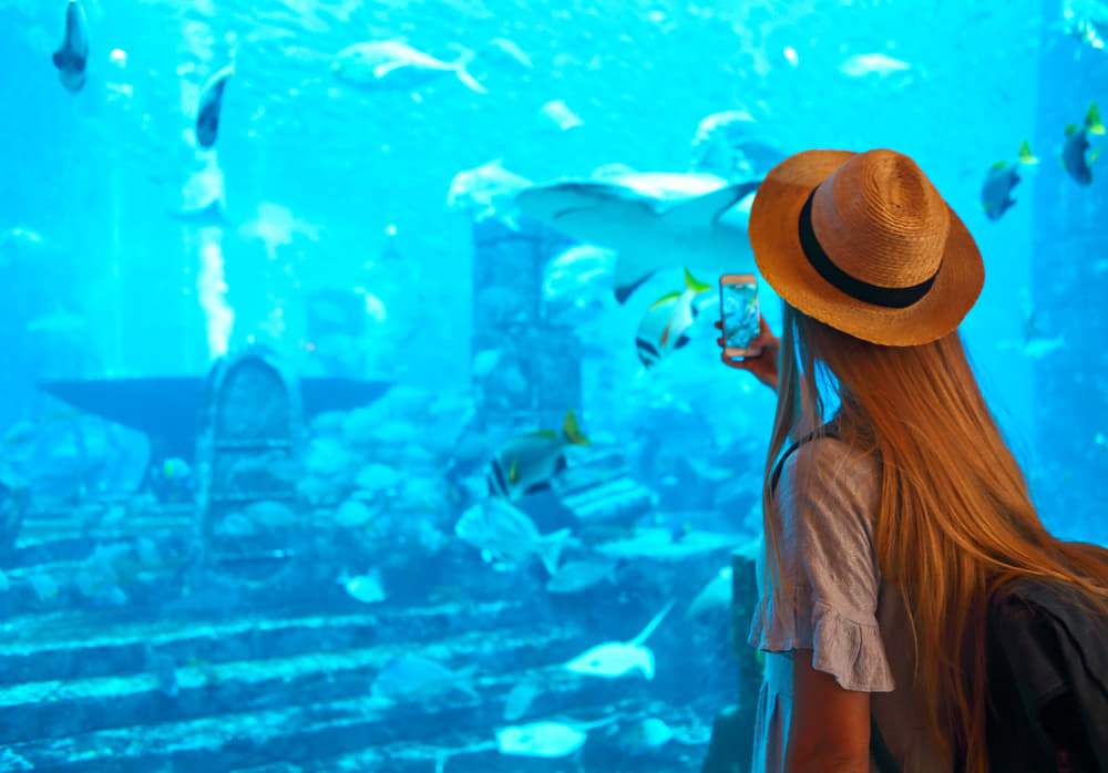 Dubai Mauritius Package 2022 | Flat 20% off