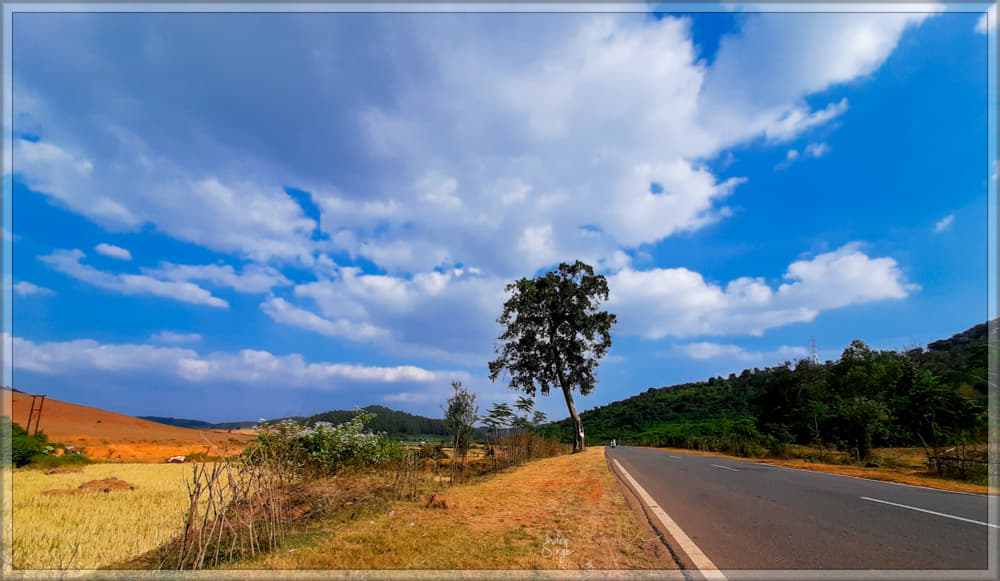 1597149410 shutterstock 1591054192