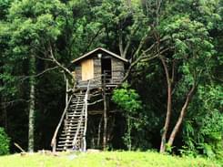 Cloudline Treehouse Cottage Nagaland