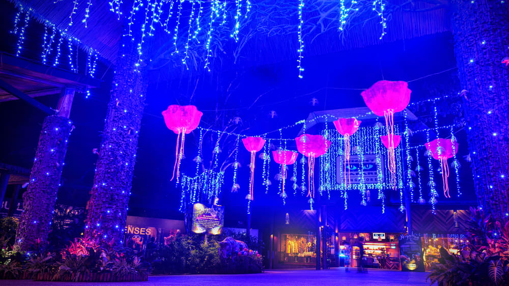 Singapore Tour Package from Hyderabad 2022 | Flat 20% off