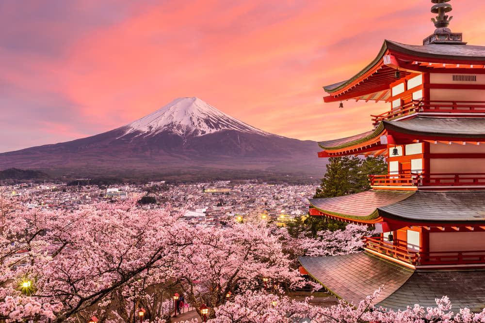 Highlights of Tokyo and Osaka in 8 Days 2023 | Flat 20% off