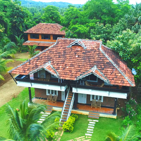 Mango Village