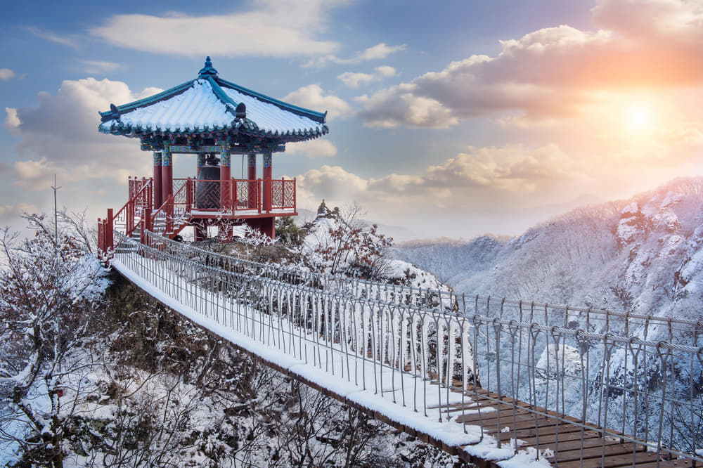 Exciting South Korea in 9 Days 2023 | Flat 20% off
