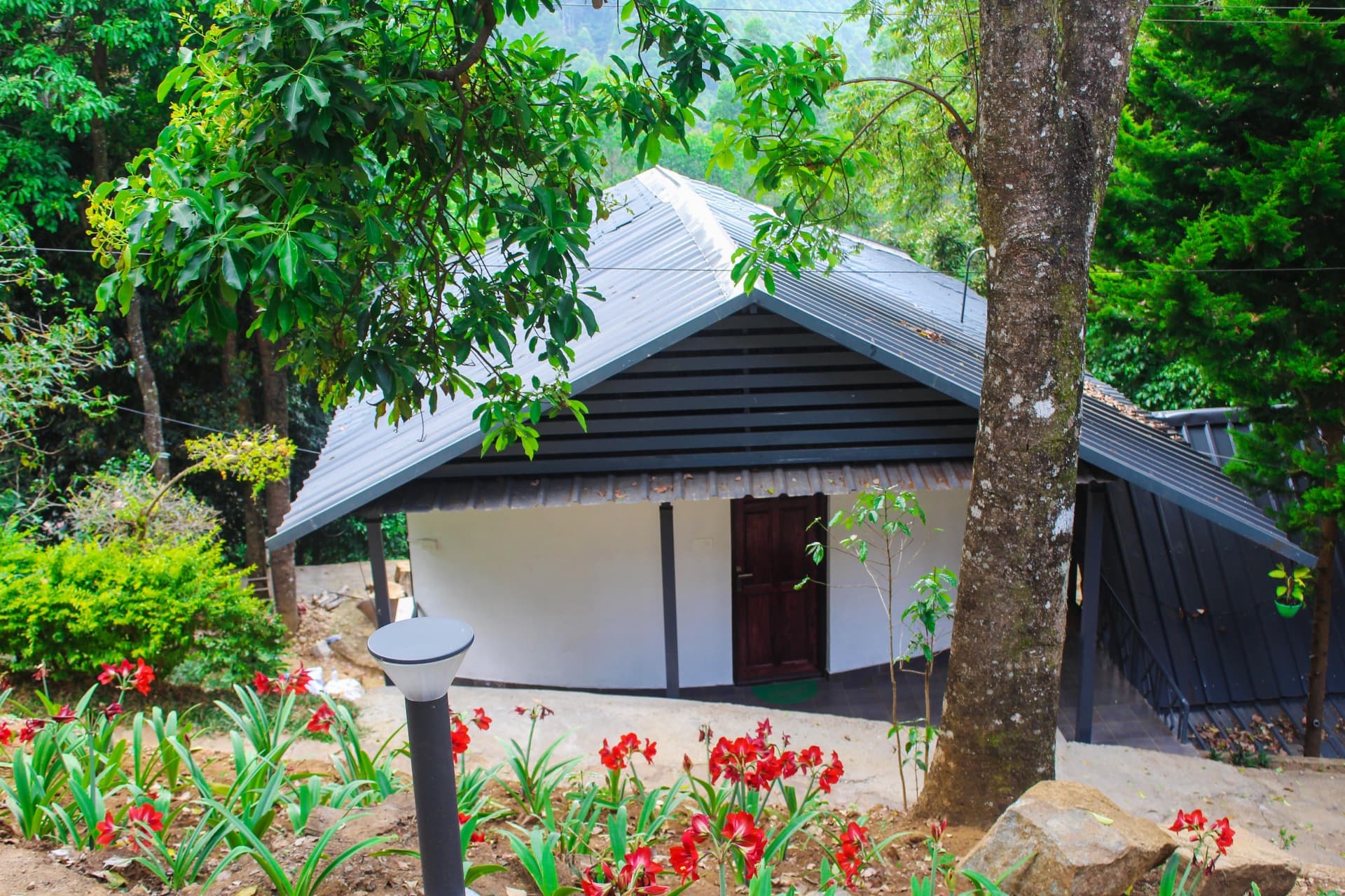 Golden Fern Resort