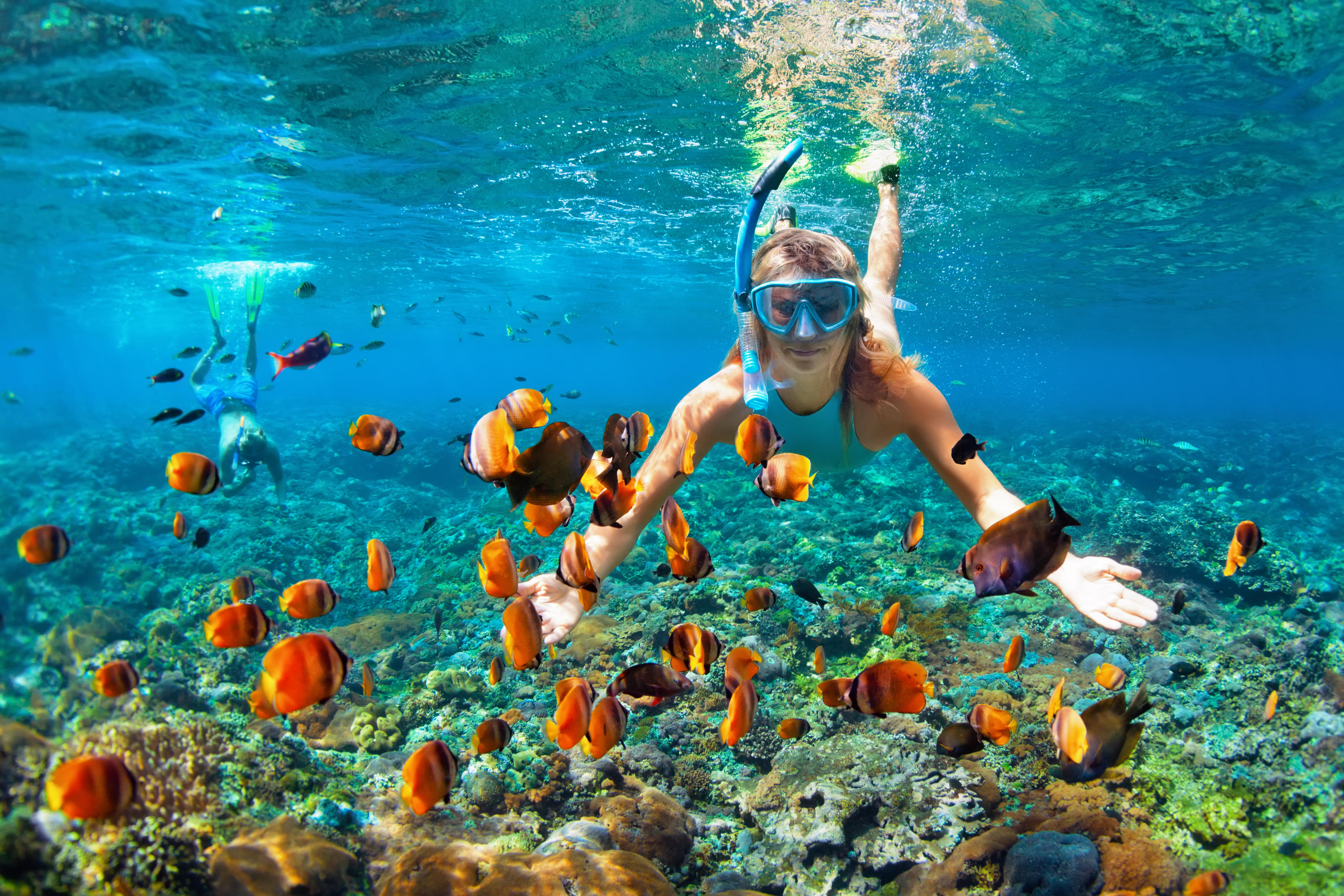 Koh Samui Snorkeling Tour | Book Online & Get 22% Off