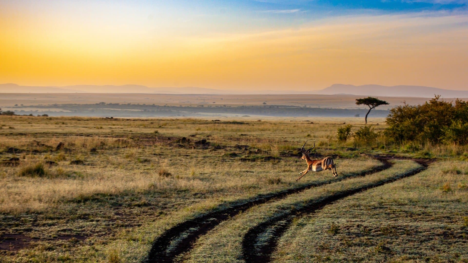 Thrilling Vacation of Kenya in 7 Days 2023 | Flat 15% off