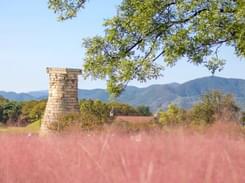 Full Day Gyeongju Tour from Busan: Book @ Flat 15% off