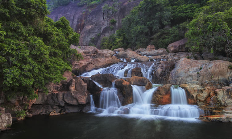 Dudhsagar and Spice Plantation Tour, Goa