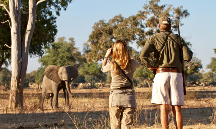 Thrilling Safari on Foot With Nature Hiking