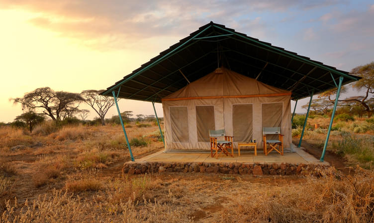 4 Days 3 Nights Masai Mara Budget Camping Safari