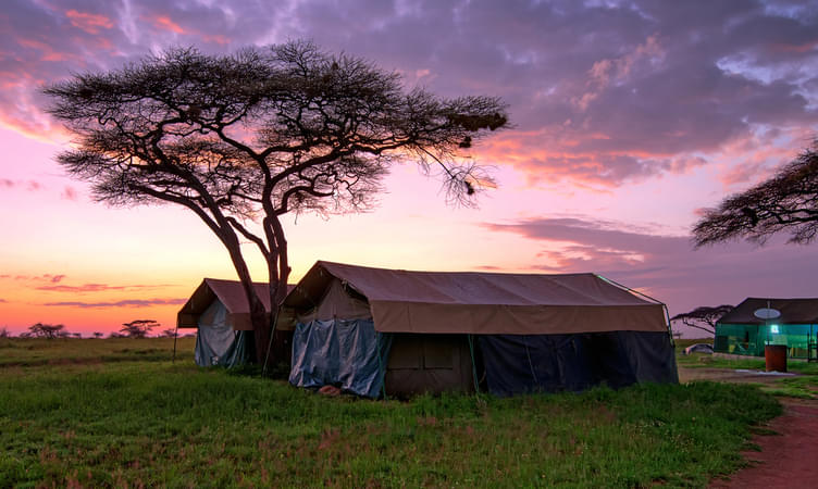 Kenya Camping Safari