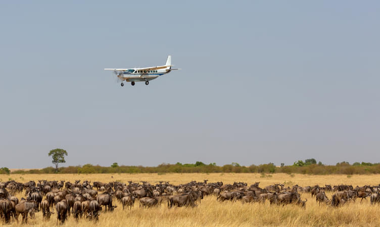 Fly-in Safari