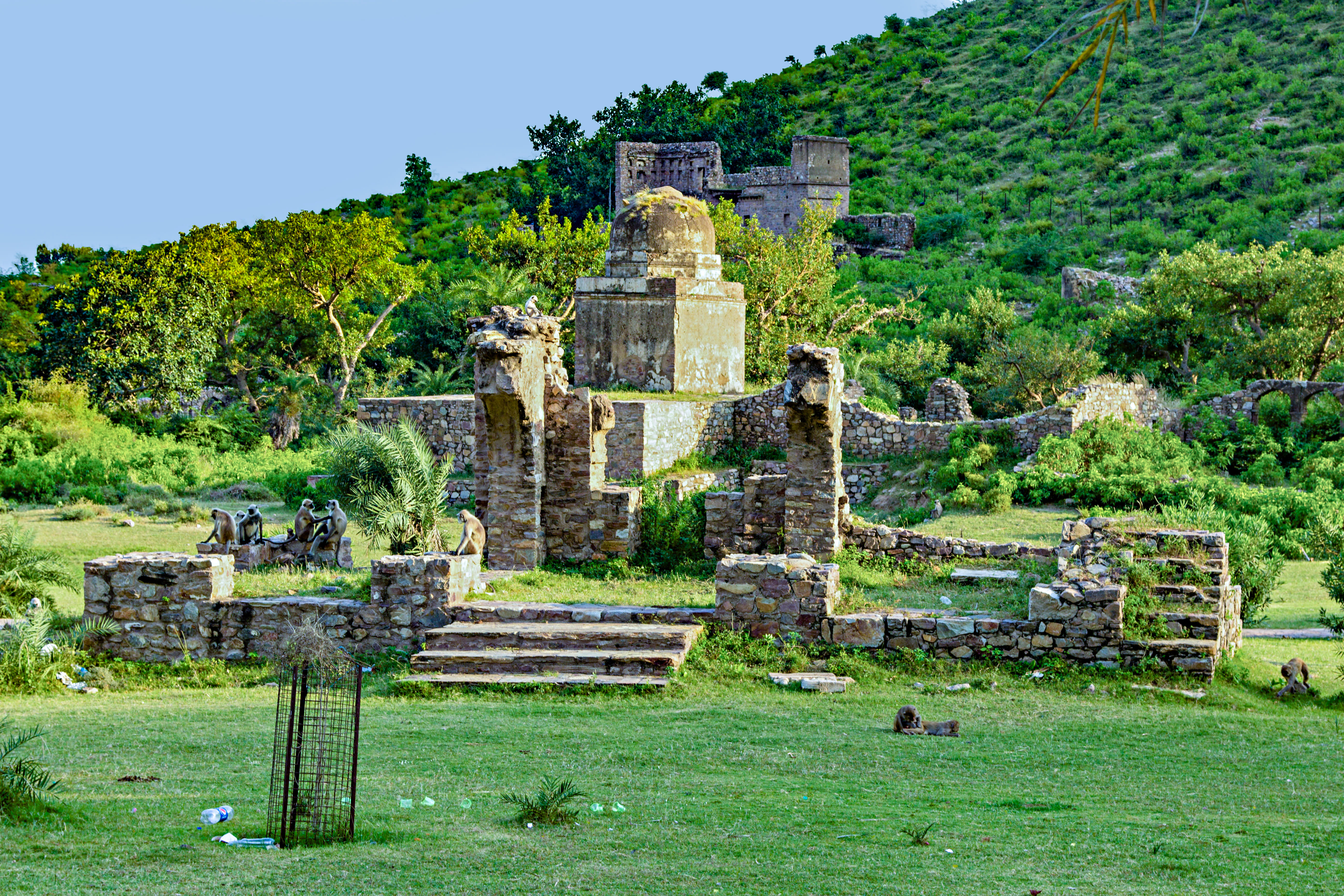 10 Places to Visit in Sariska, Tourist Places & Top Attractions