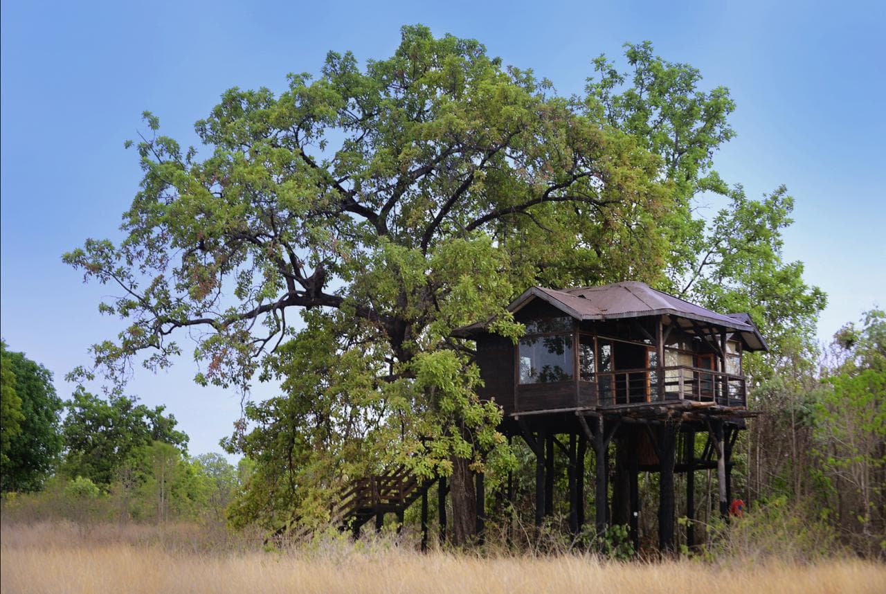 Pench Tree Lodge, Pench