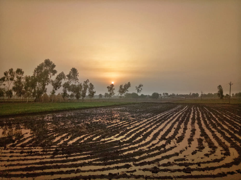 1600352321 shutterstock 1111590722