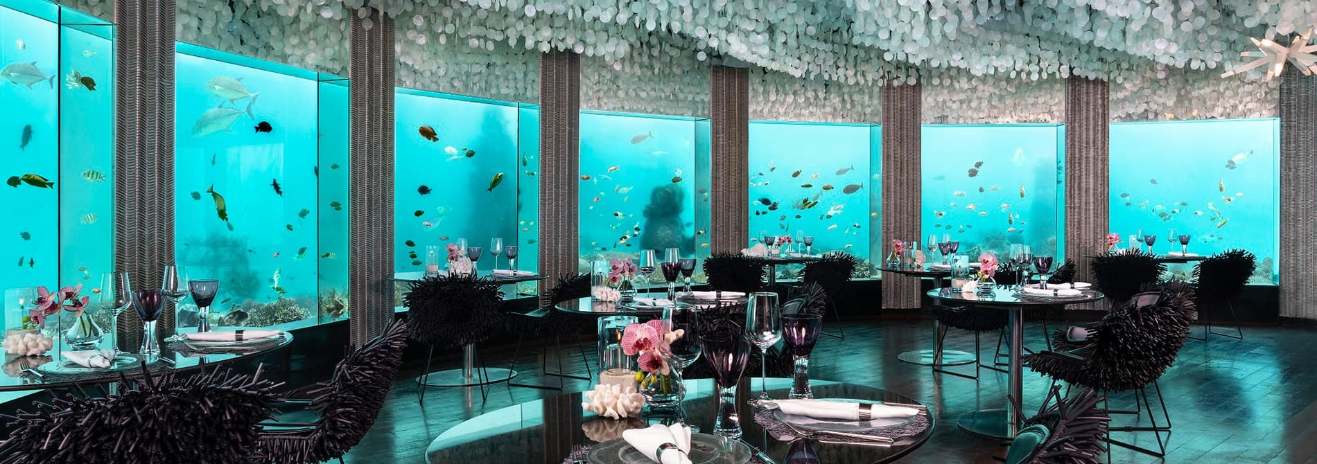 5 Underwater Restaurants in Maldives to Dine At in {{year}}