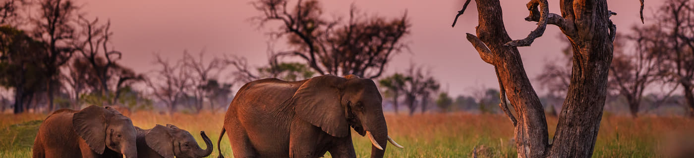 10 Places To Visit In Botswana Tourist Places Top Attractions