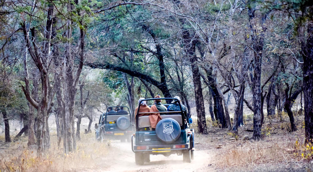 Ranthambore National Park Safari - A Detailed Guide