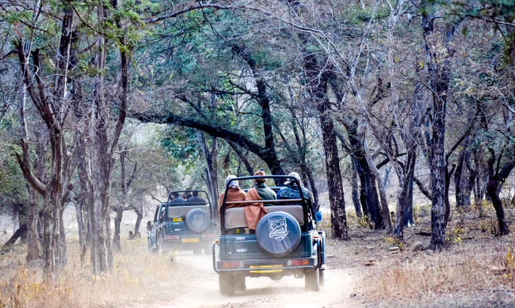 Timings of Safari at Ranthambore