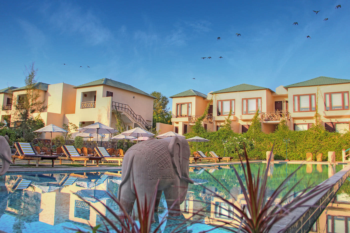 25 Luxury Resorts in Rajasthan, Book Now @ Upto 50% Off