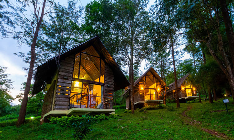 40 Jungle Resorts Near Bangalore Book Get Upto 50 Off 40-jungle-resorts-near-bangalore-book-get-upto-50-off