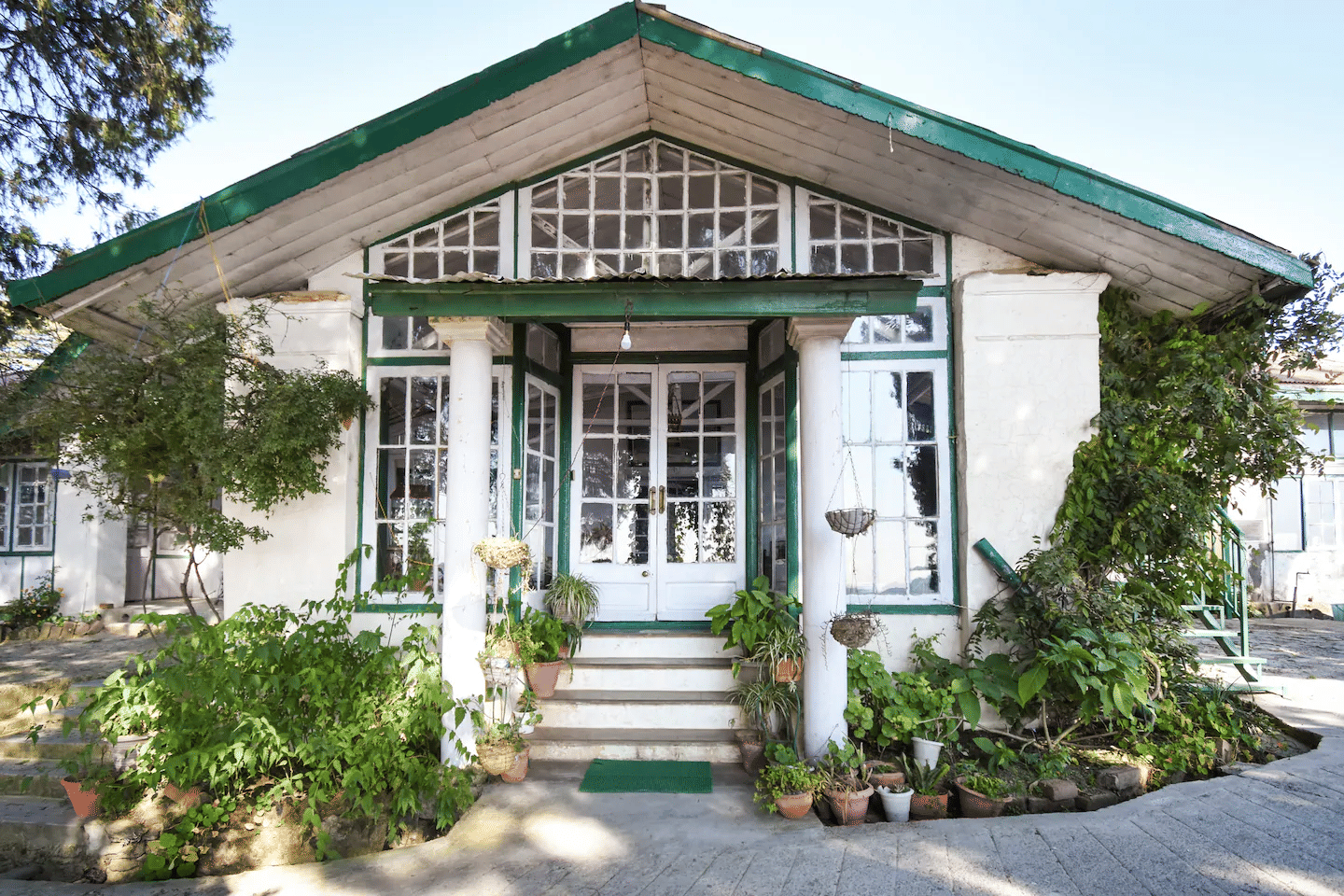 Quaint Wooden House Stay in Shimla